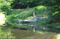 1819 East York Ct lake
