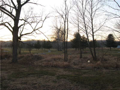 2749 Grey Fox Dr South4