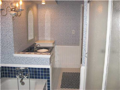 Seller financing may include lease w option, contract sale for short interim period, rent to buy, occupancy for a possession payment. Seller incentives include prepaid HOA dues, real property tax credits, financing prepaids for conventional buyer