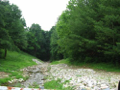 Lakes overflow to creek. Sound of rushing water from timber deck. Nice mix of hardwoods & white pines for total seclusion & aesthetic enjoyment.