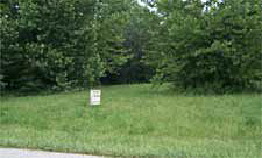 Foxcliff South Lots