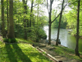 Foxcliff East Lake is approx 60' deep. Fishing, frog gigging, swimming, and small boating are poplar lake sports. Foxcliff has municipal water and sewer. These lakes are clean. HOA treats for algae and moss growth. There is abundant watershed
