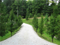 View: Francis Fantasy Estate captures all the ambience Foxcliff offers. Drive past the golf, lakes, club mansion, & other homes of style and significant stature to approach an acre & one half of Bradford Pear tree lined driveway. (hard-surface in progress